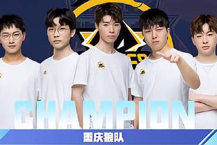 体系的质疑