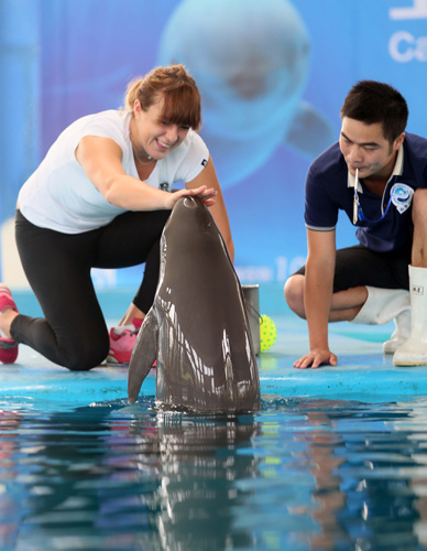 国职业足球 国职业足球